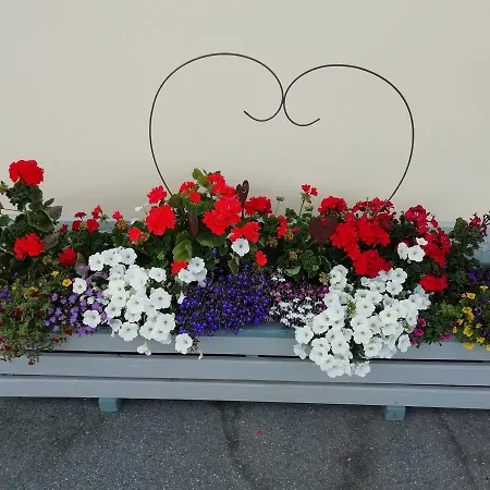 Zum Schulmeister Homestay *